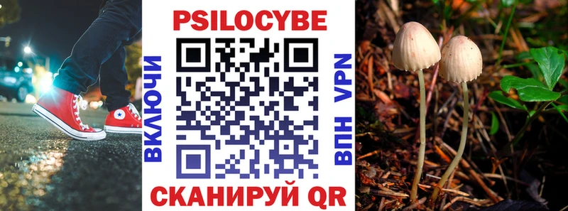 Купить закладки  Россошь  Псилоцибиновые грибы GOLDEN TEACHER 